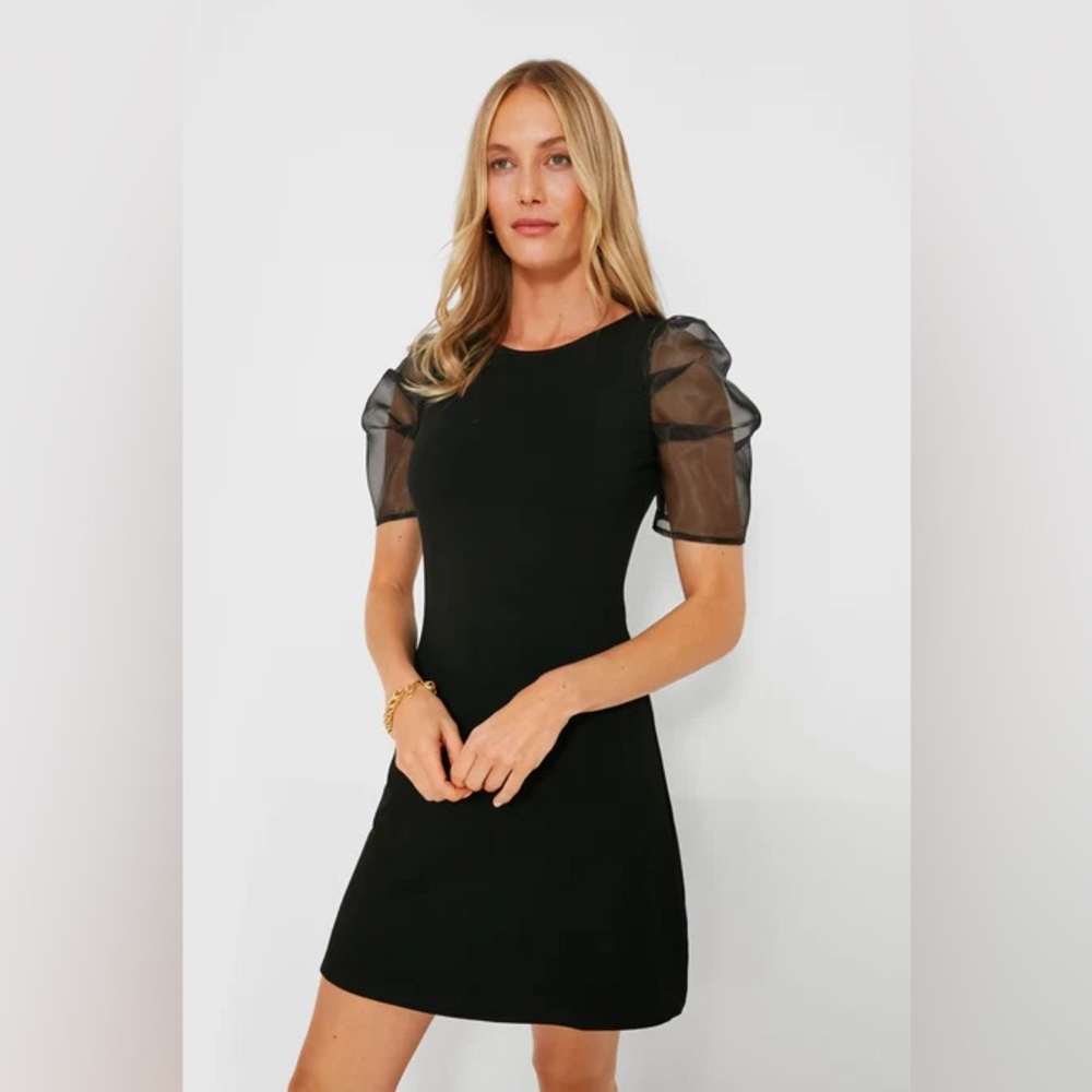 Hyacinth House Black Tulle Sleeve Dress